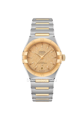 Omega Constellation 29 mm 131.20.29.20.08.001